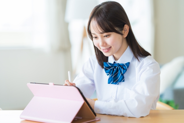 オンライン個別指導を受講する高校生の男の子